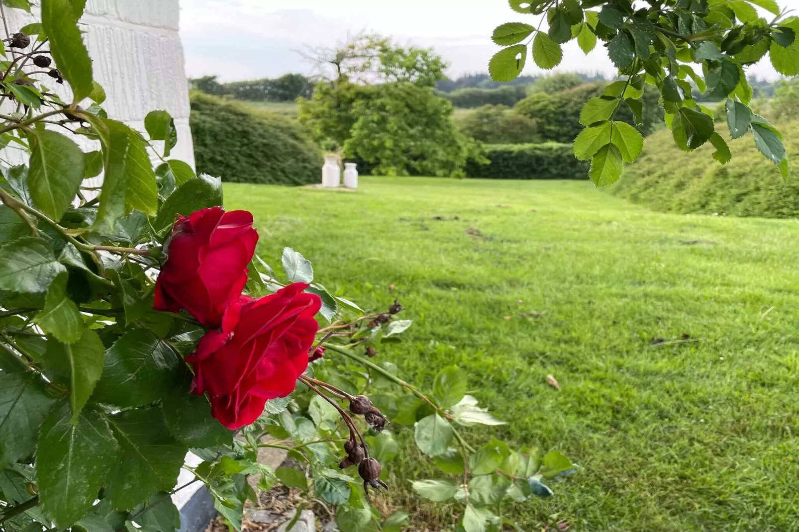 5 sterren vakantie huis in Farsø-Buitenlucht