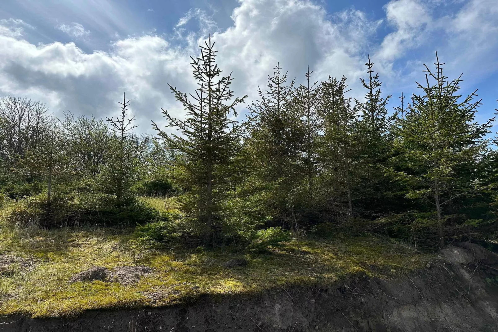 5 sterren vakantie huis in Sejerø-Uitzicht
