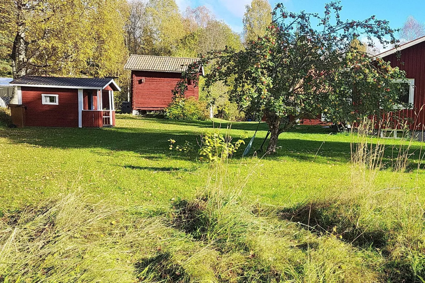 Gezellig vakantiehuis vlakbij bos en meer-Niet-getagd