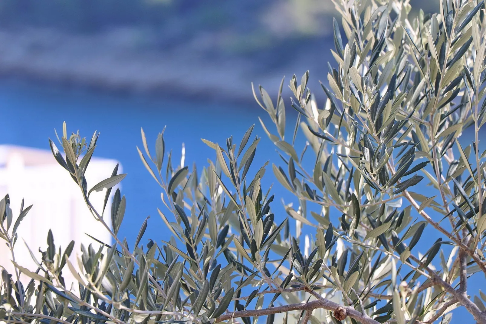 Peaceful Holiday House Senija - Four bedroom Holiday Home with Terrace and Sea View-Sfeer