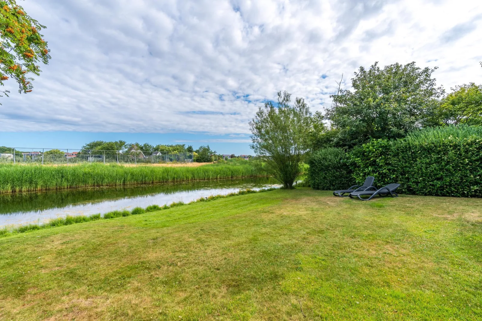 Kamperfoelie 51-Tuinen zomer