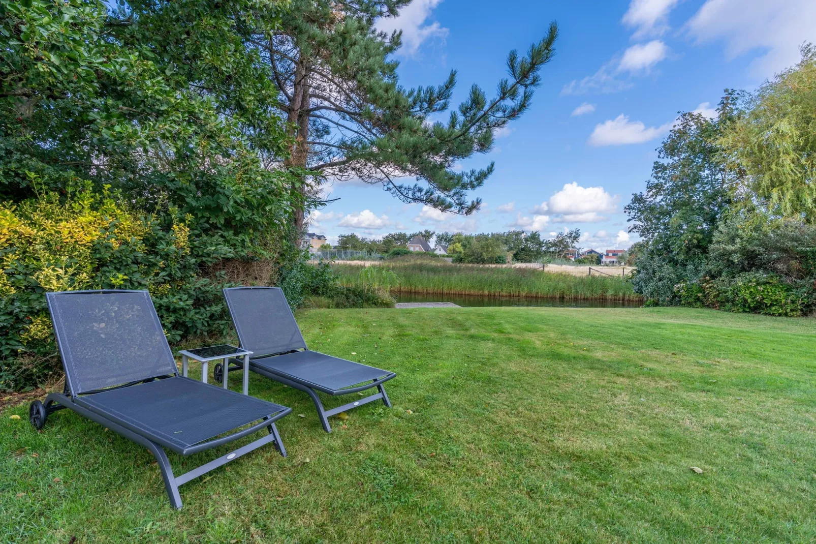 Kamperfoelie 63-Tuinen zomer