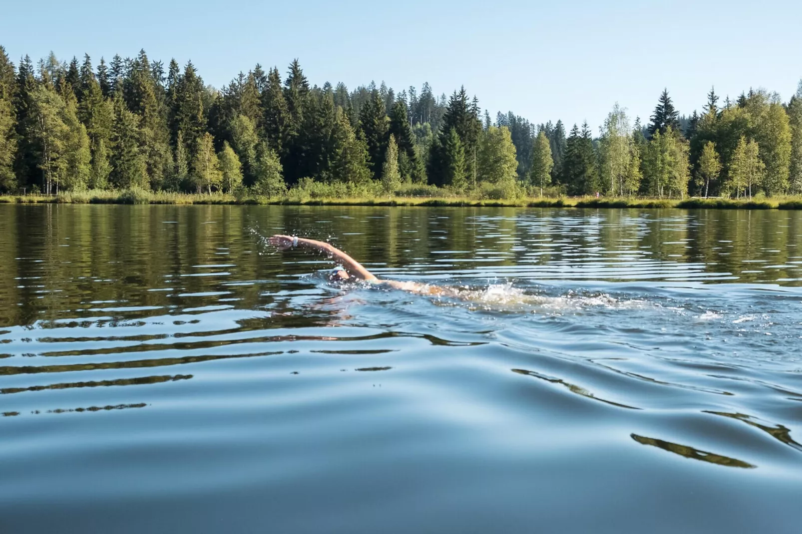 Mountapart-Wagstätt Top 3-Gebieden zomer 5km