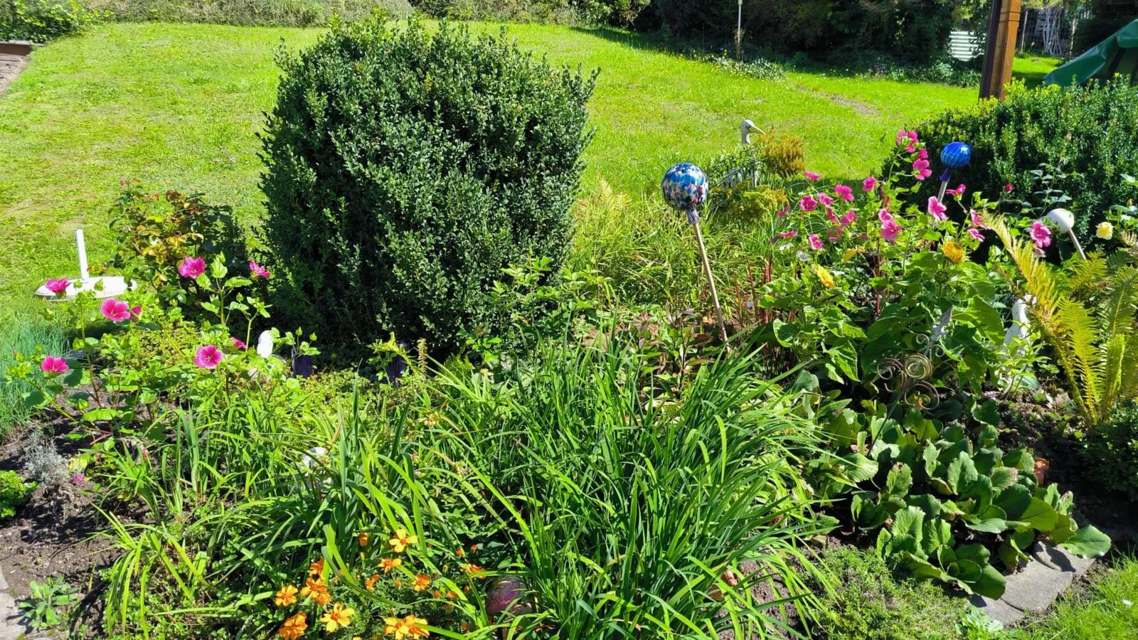 Am Springelbach-Tuinen zomer