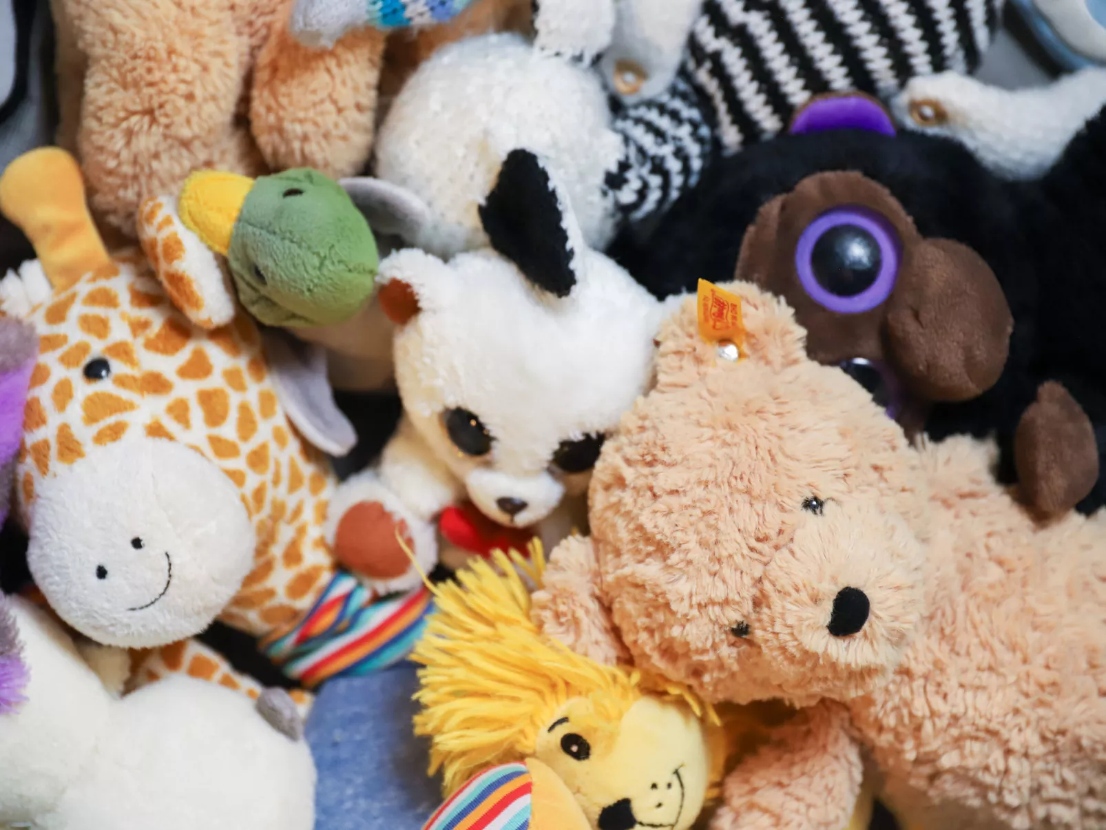 La Siala Apt.34-Binnen