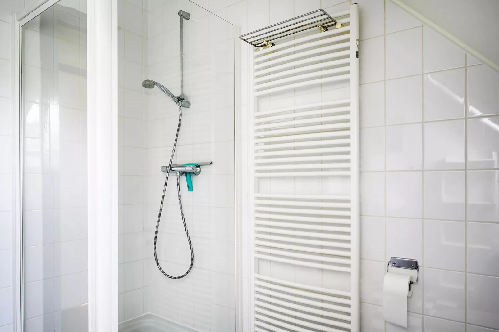 6 pers. Vosseberghuis Prestige met buitenspa-Badkamer