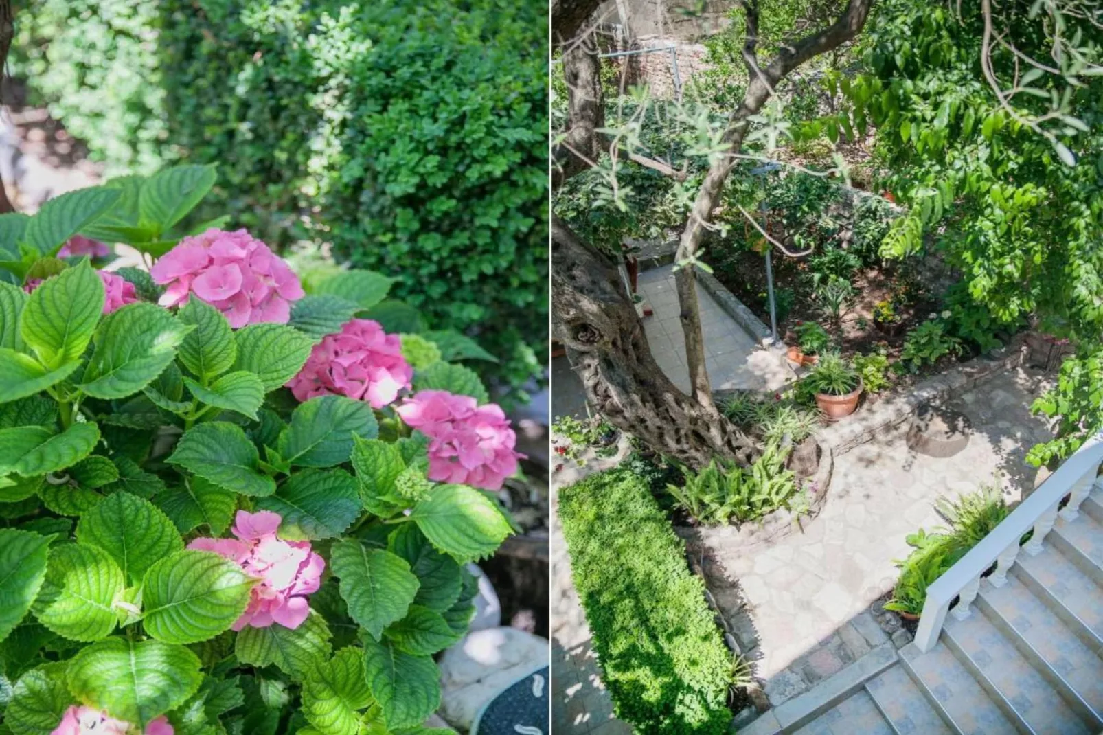 Petrovac Serenity Stay Near the Beach - Standard Double Room 2-Tuinen zomer