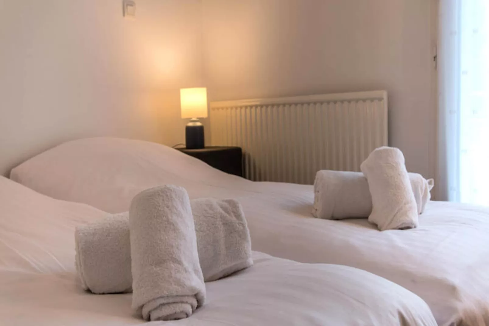 Appartements à Duingt-Niet-getagd