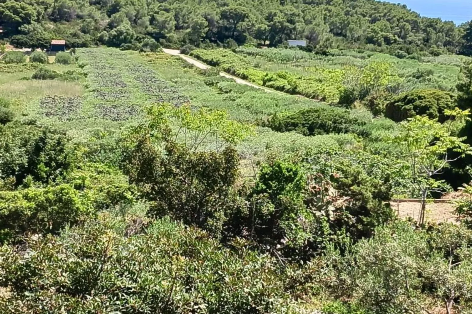 Apartmani Green Oasis - One Bedroom Apartment with Terrace and Sea View-Buitenlucht