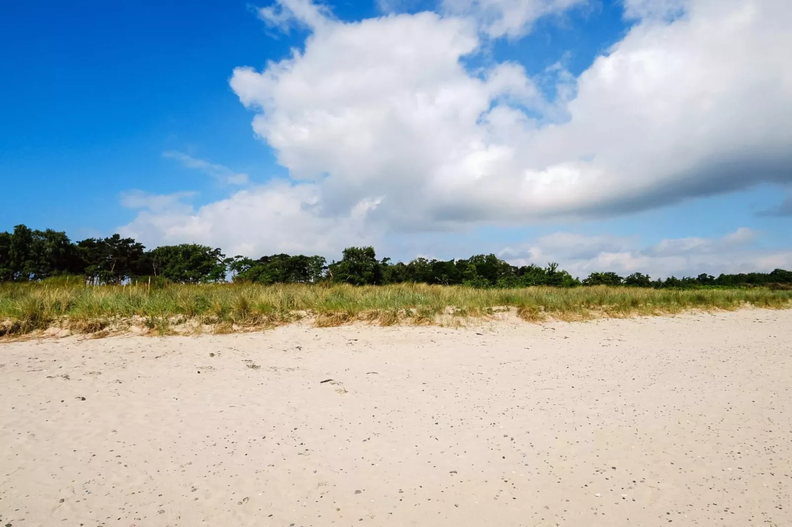 8 persoons vakantie huis in Væggerløse-Waterzicht