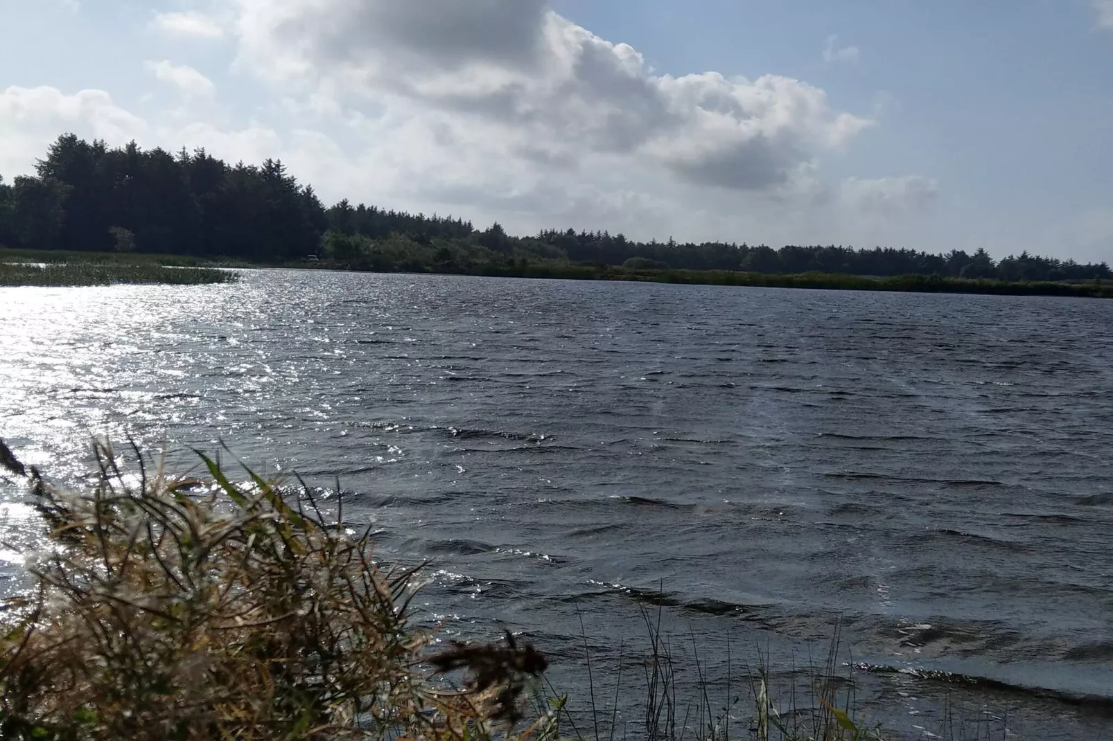 Moderne Oase in Marielyst-By Traum-Waterzicht