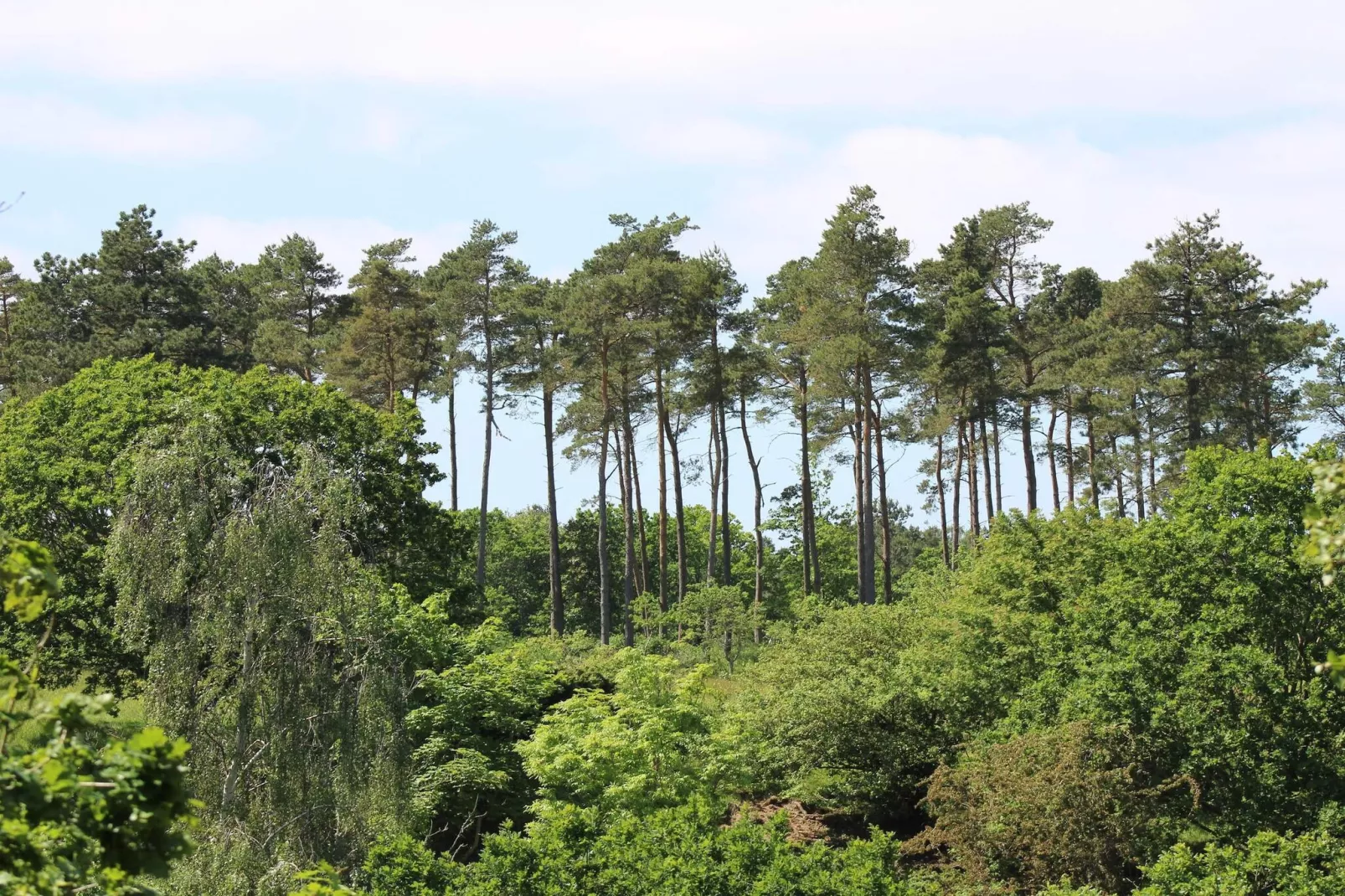 6 persoons vakantie huis in Ebeltoft-Niet-getagd