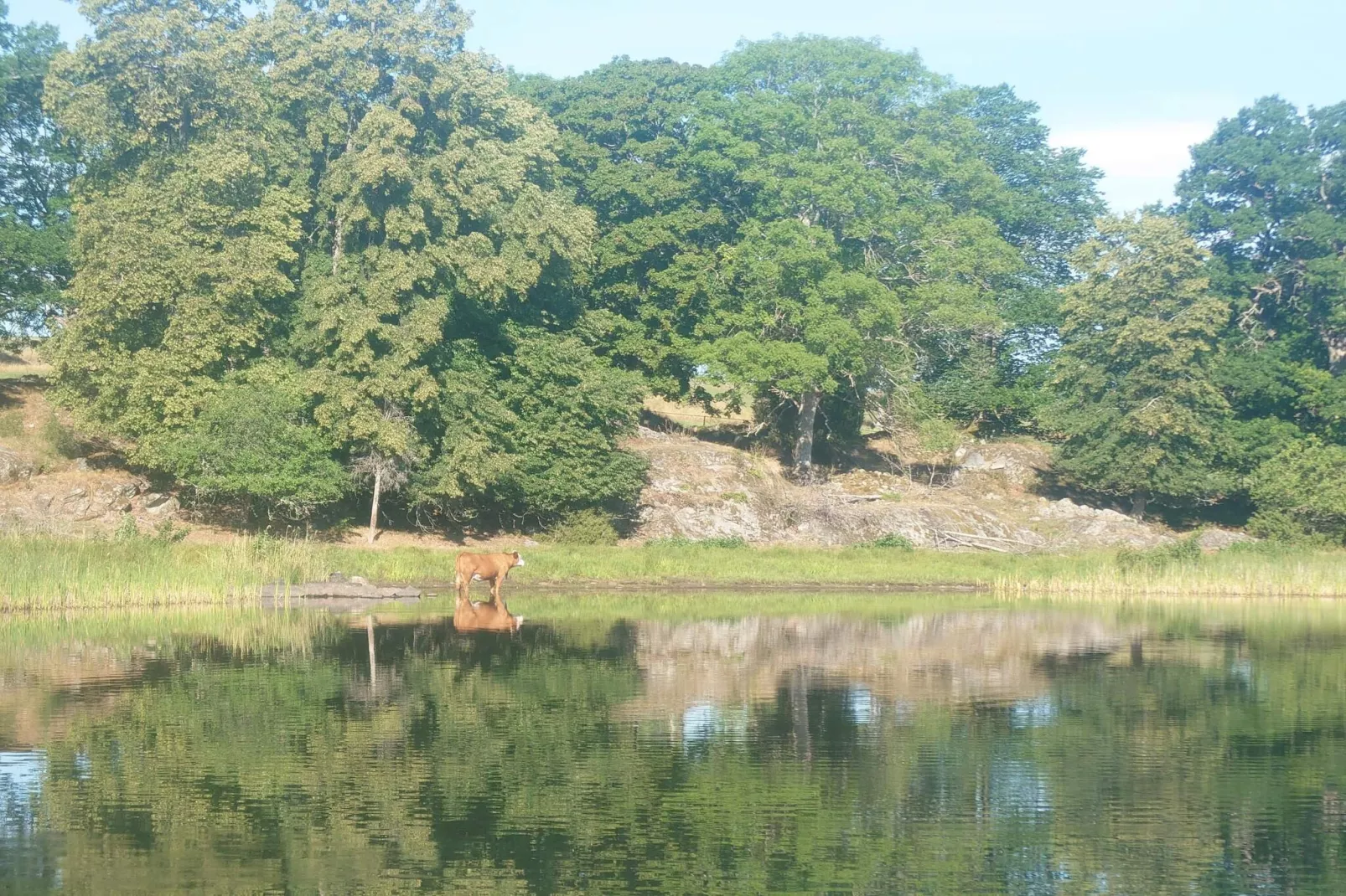 4 persoons vakantie huis in VETLANDA-By Traum-Waterzicht