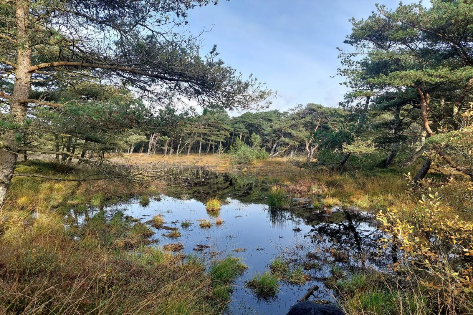 6 persoons vakantie huis in Rømø-By Traum-Waterzicht