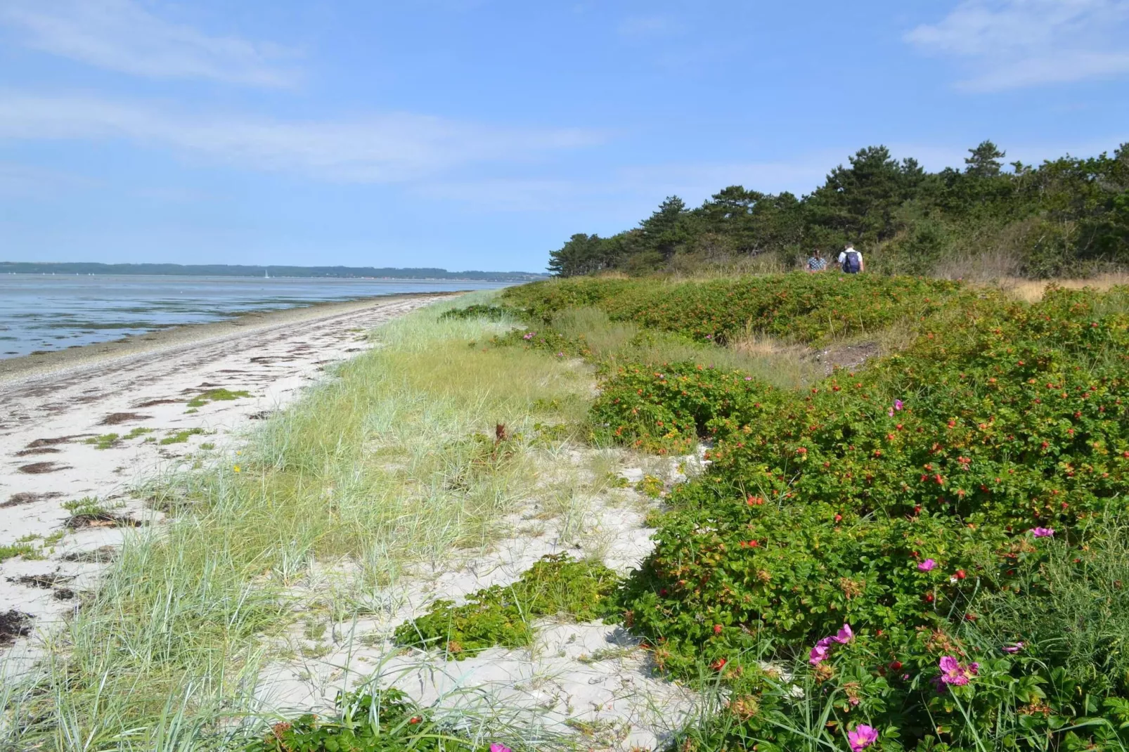 Luxe zwembad retraite in Ebeltoft -- By Traum Ferienwohnungen-Waterzicht