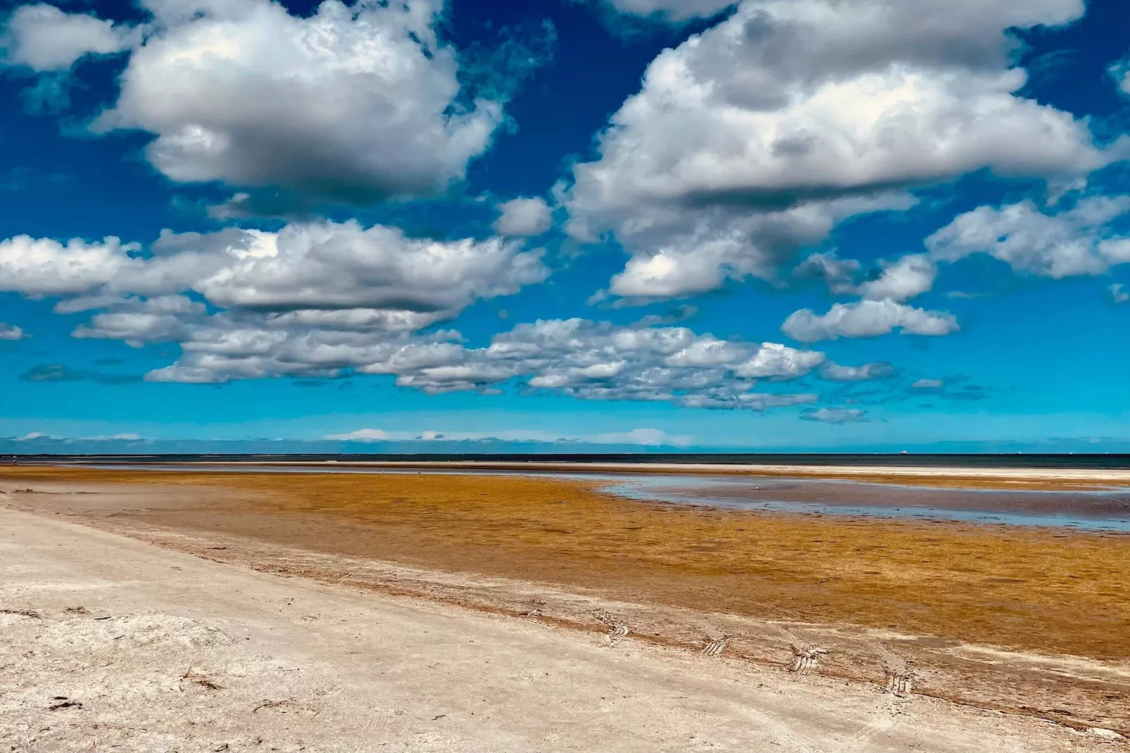 Natuur retraite in albaek -- By Traum Ferienwohnungen-Waterzicht