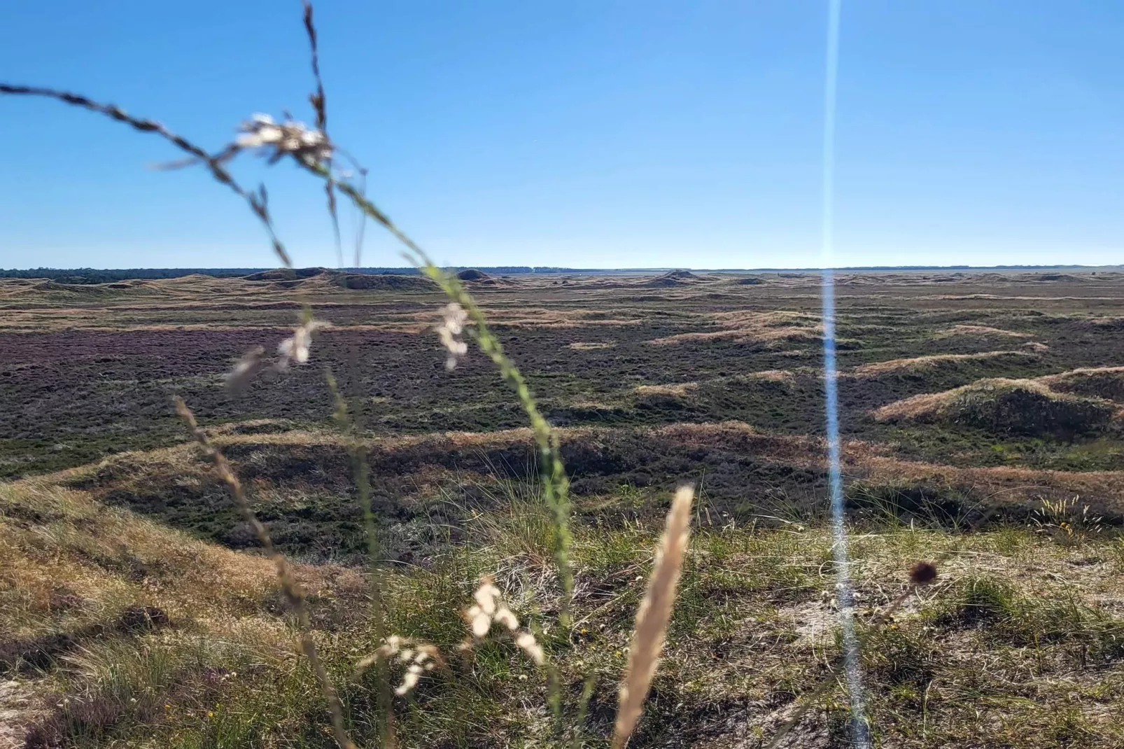 Afgelegen jaren 60 huisje -- By Traum Ferienwohnungen-Niet-getagd