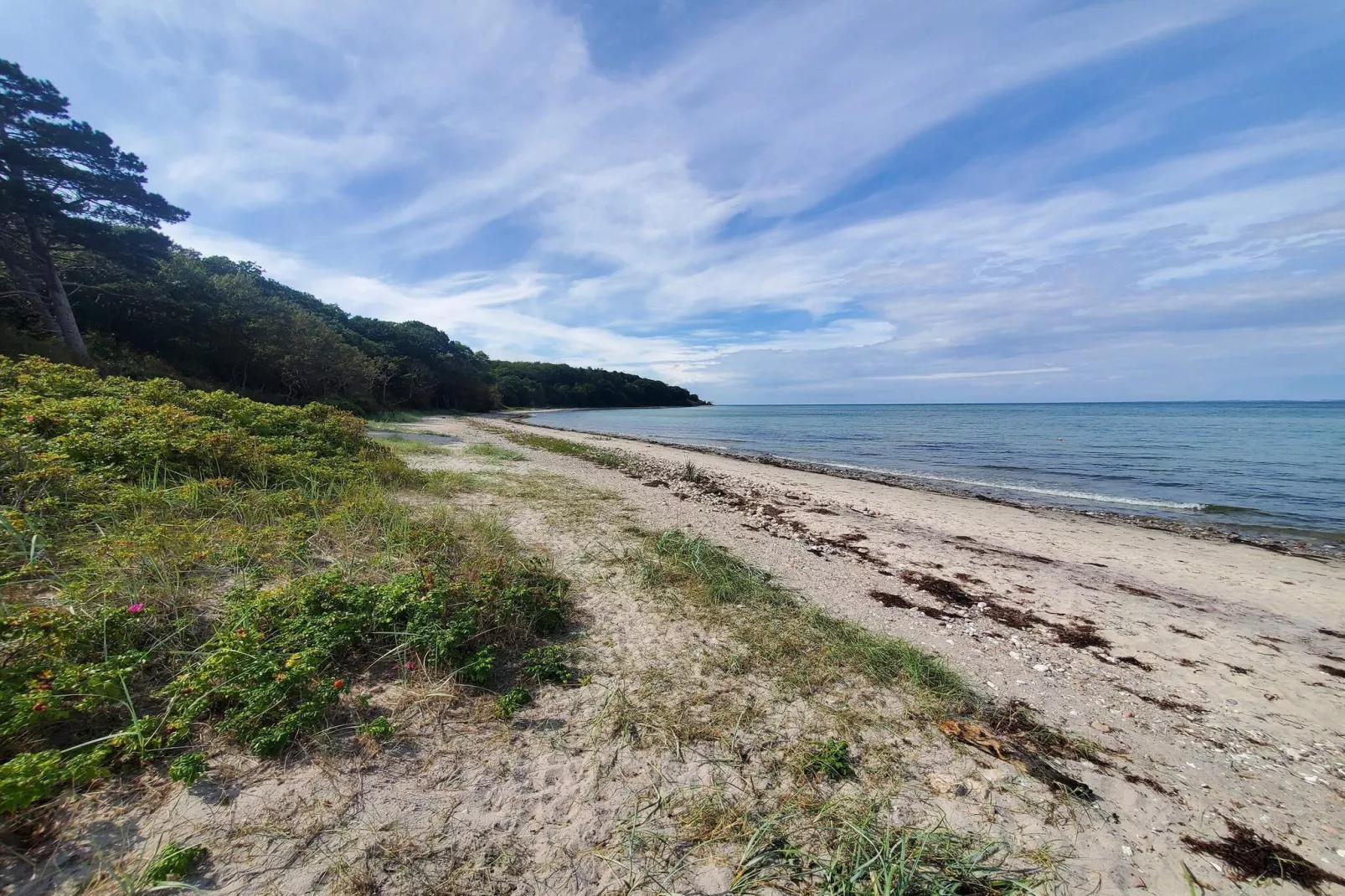 Modern toevluchtsoord bij strand -- By Traum Ferienwohnungen-Waterzicht