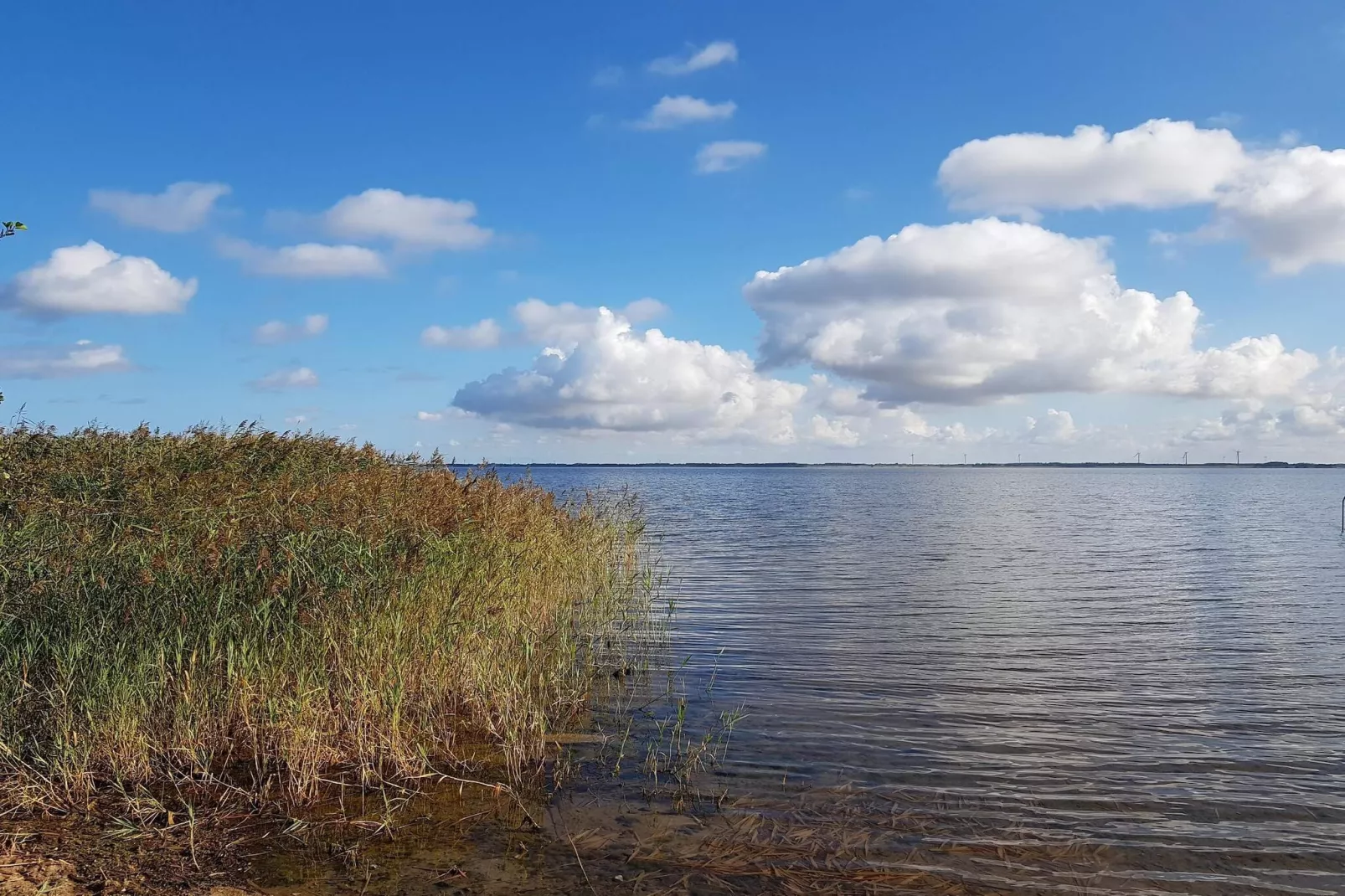 Afgelegen oase bij fjord -- By Traum Ferienwohnungen - Waterzicht