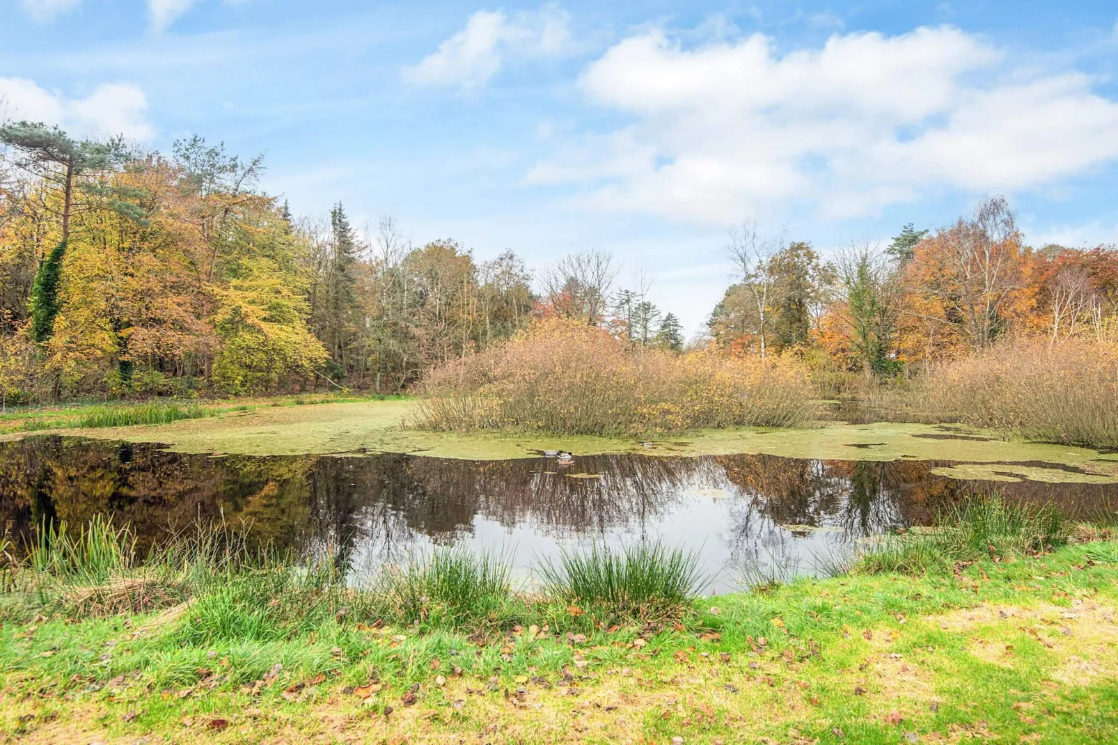 4 persoons vakantie huis in Oksbøl-By Traum-Niet-getagd