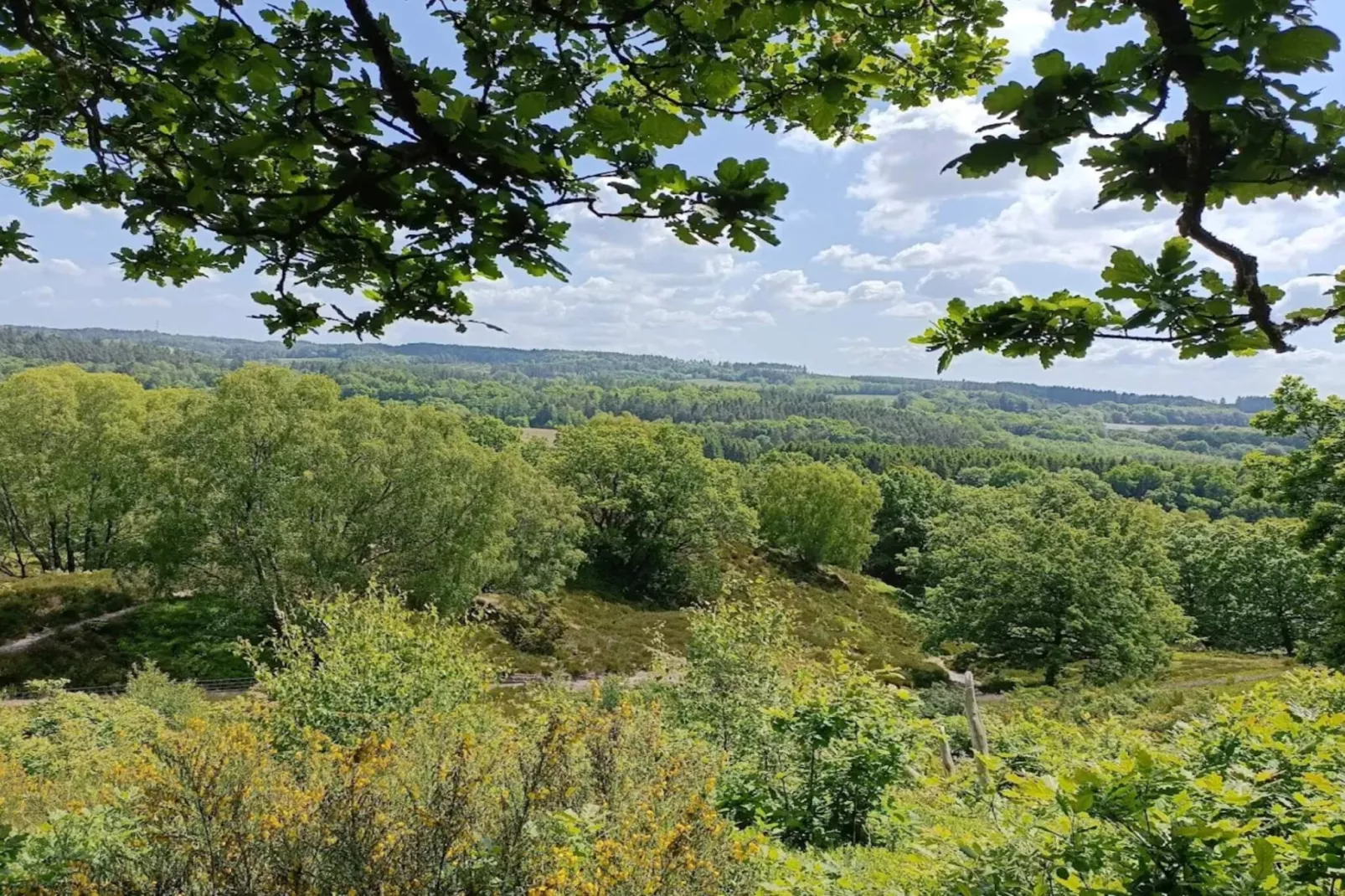 8 persoons vakantie huis in Gjern-By Traum-Niet-getagd
