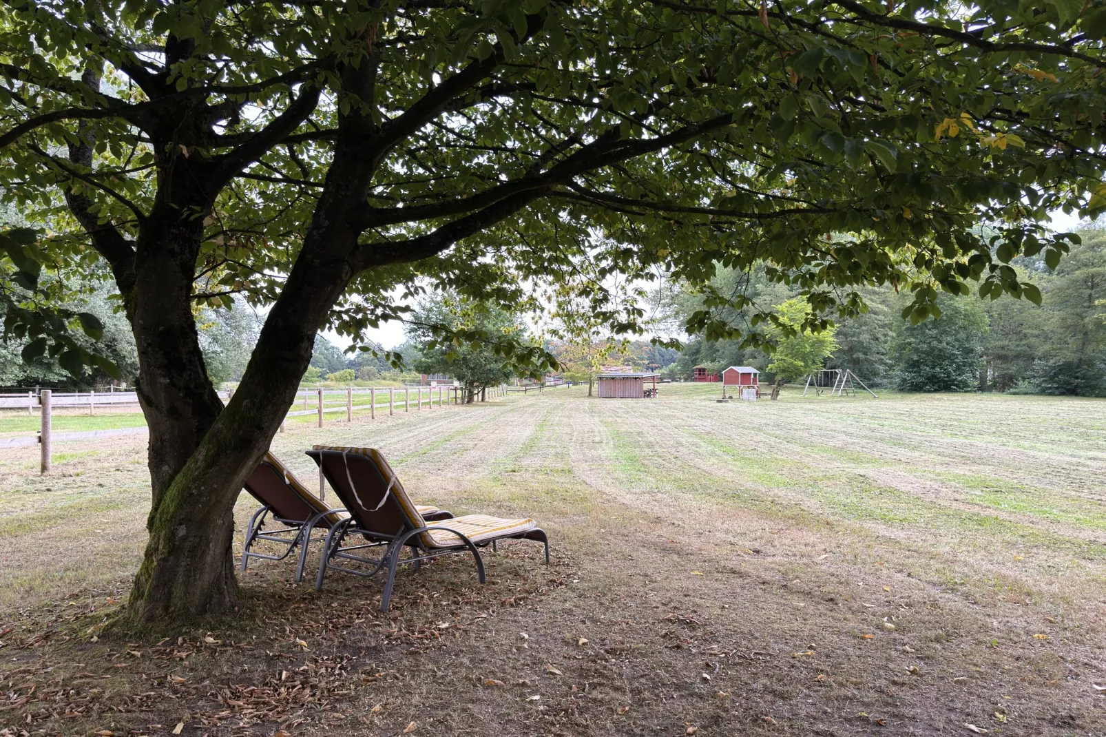 Lüneburger Heide-Uitzicht zomer