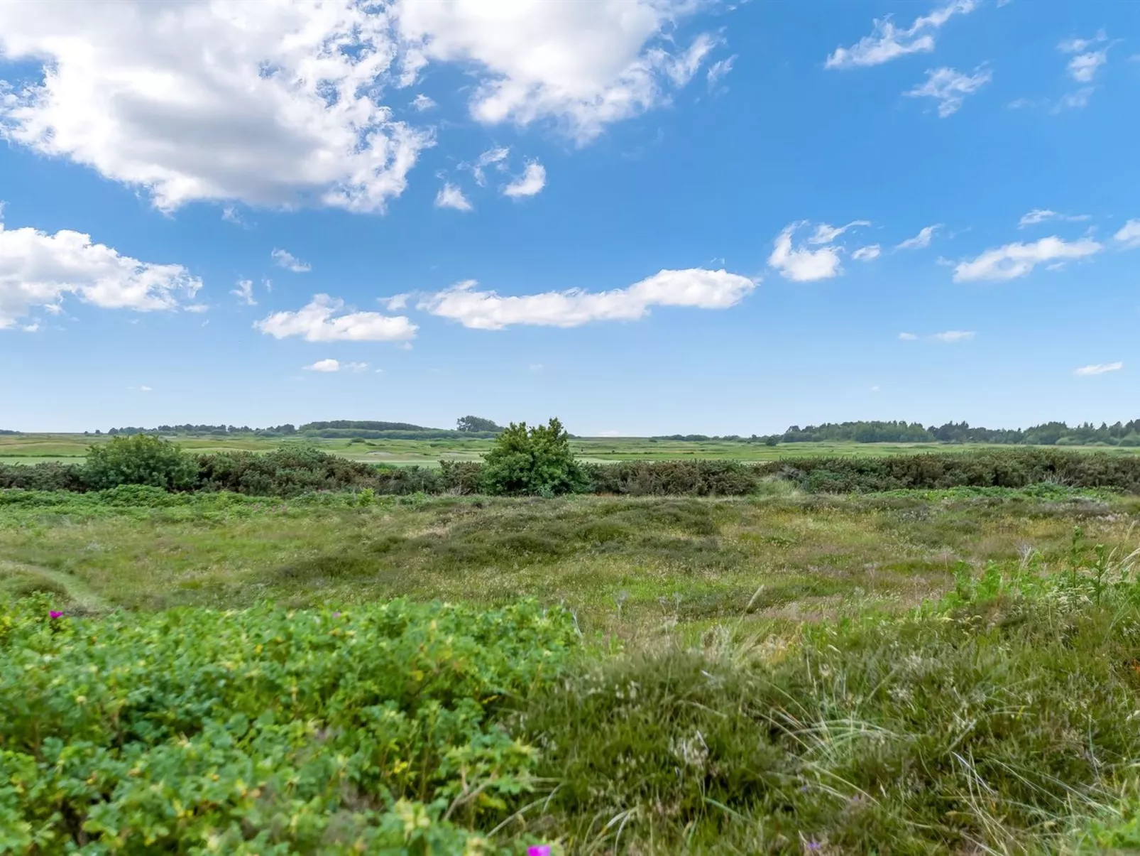 "Reija" - 2.3km from the sea - Buiten