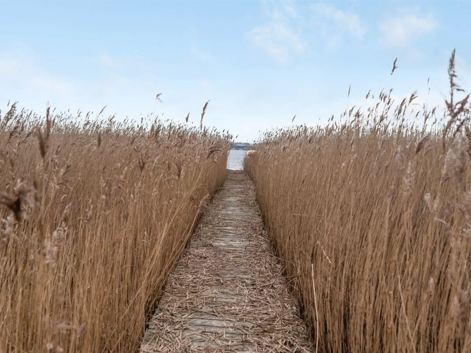 "Caren" - 125m to the fjord-Buiten