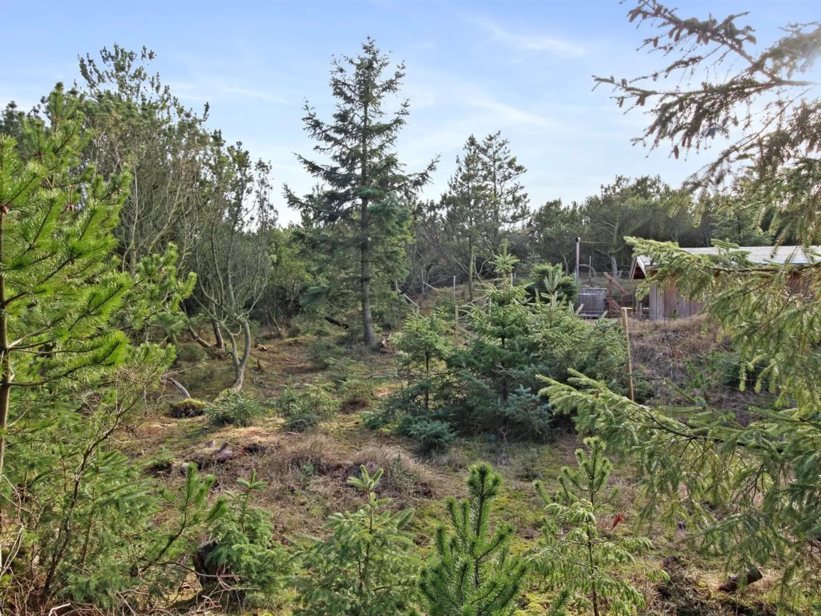 "Laurin" - 600m from the sea-Buiten