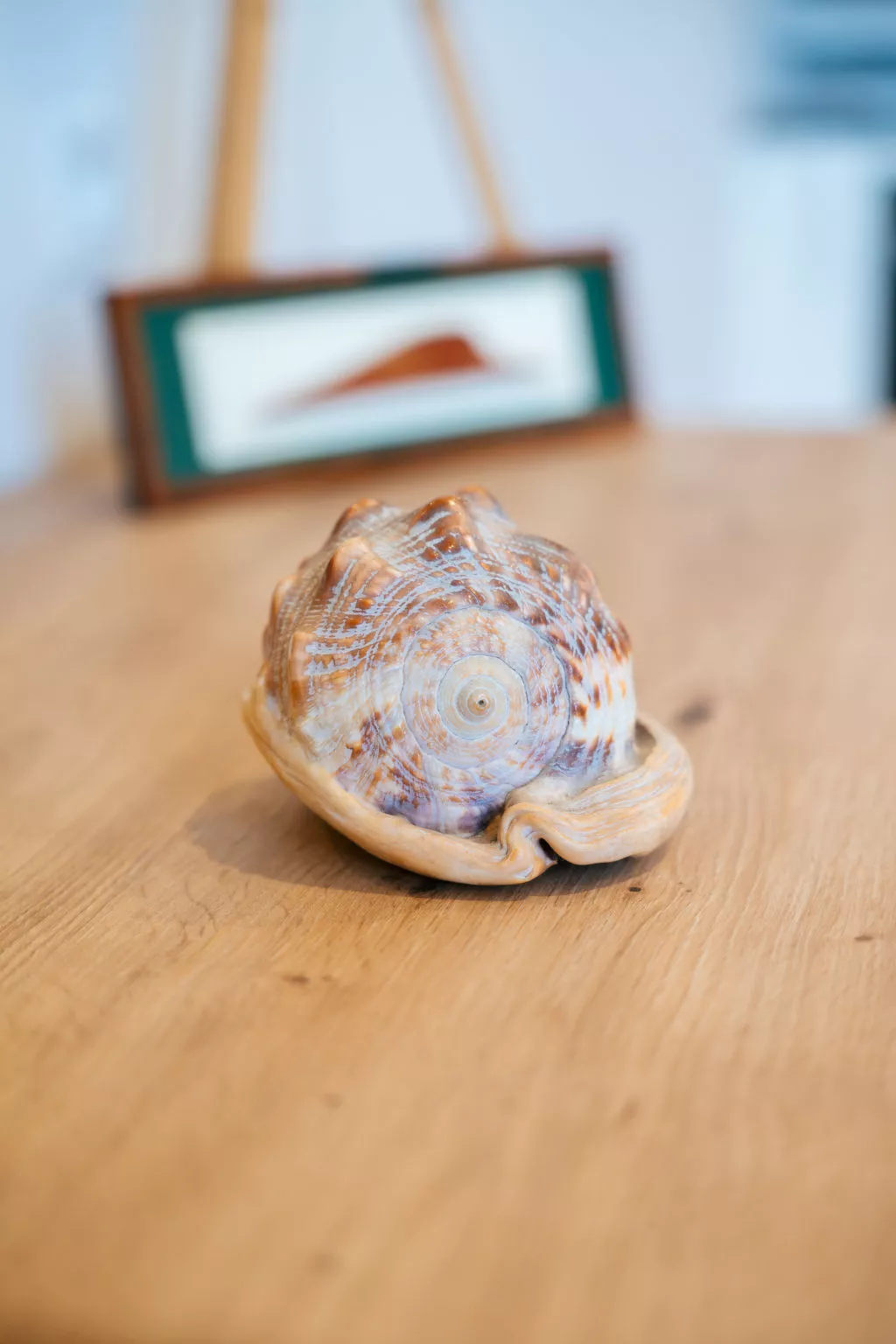 Résidence Les Terrasses-Binnen