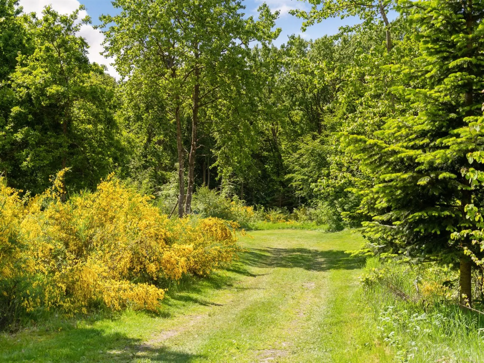 "Gunward" - 1.5km from the sea-Buiten