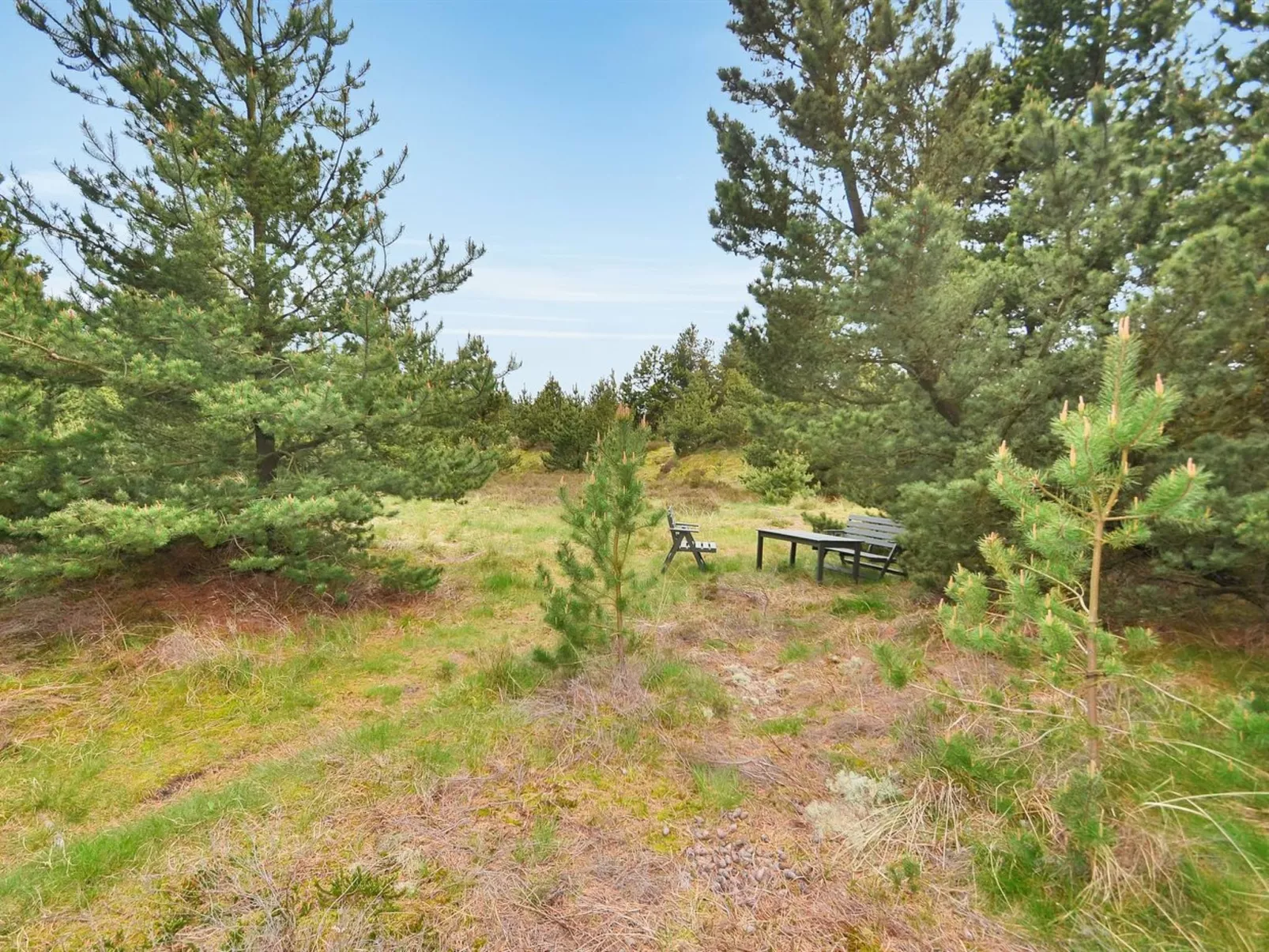 "Ernst" - 700m from the sea-Buiten