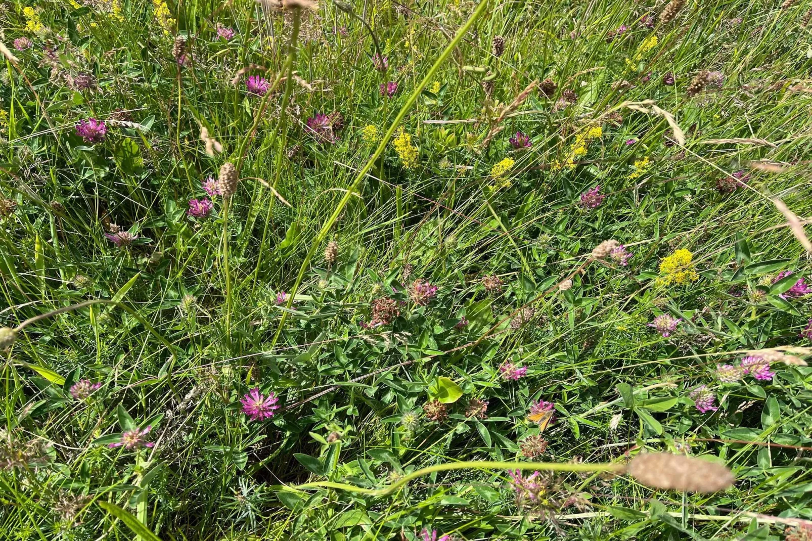 6 persoons vakantie huis in Knebel-By Traum-Niet-getagd