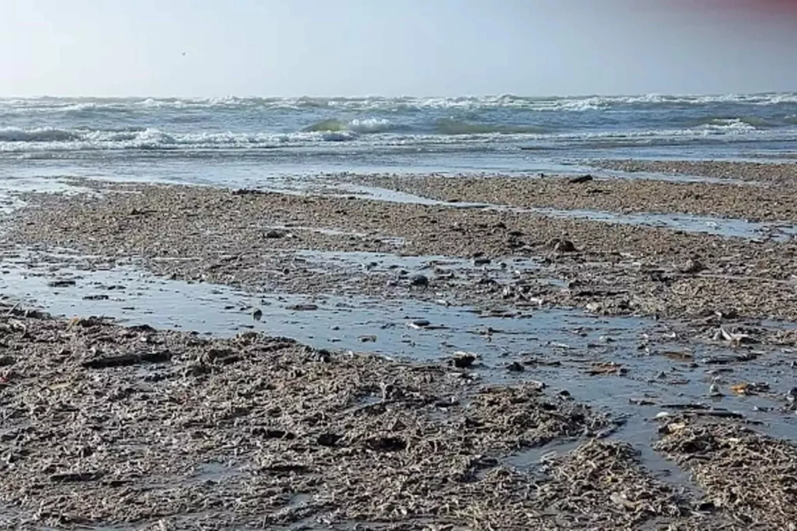 10 persoons vakantie huis in Blåvand-Waterzicht