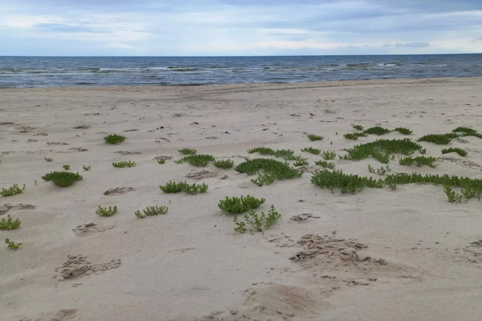 5 sterren vakantie huis in Ålbæk-By Traum-Waterzicht