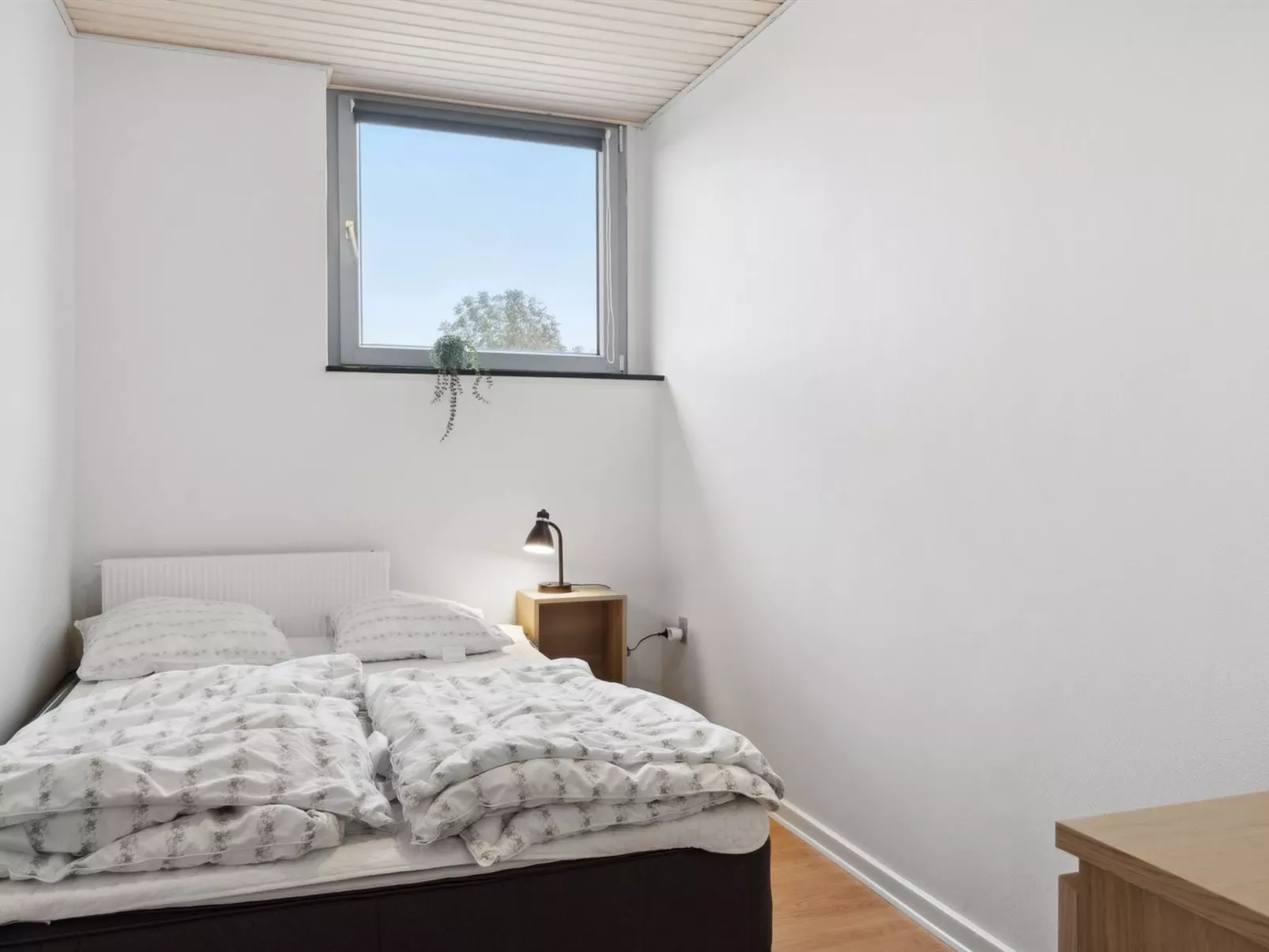 "Elaine" - 350m from the sea-Binnen