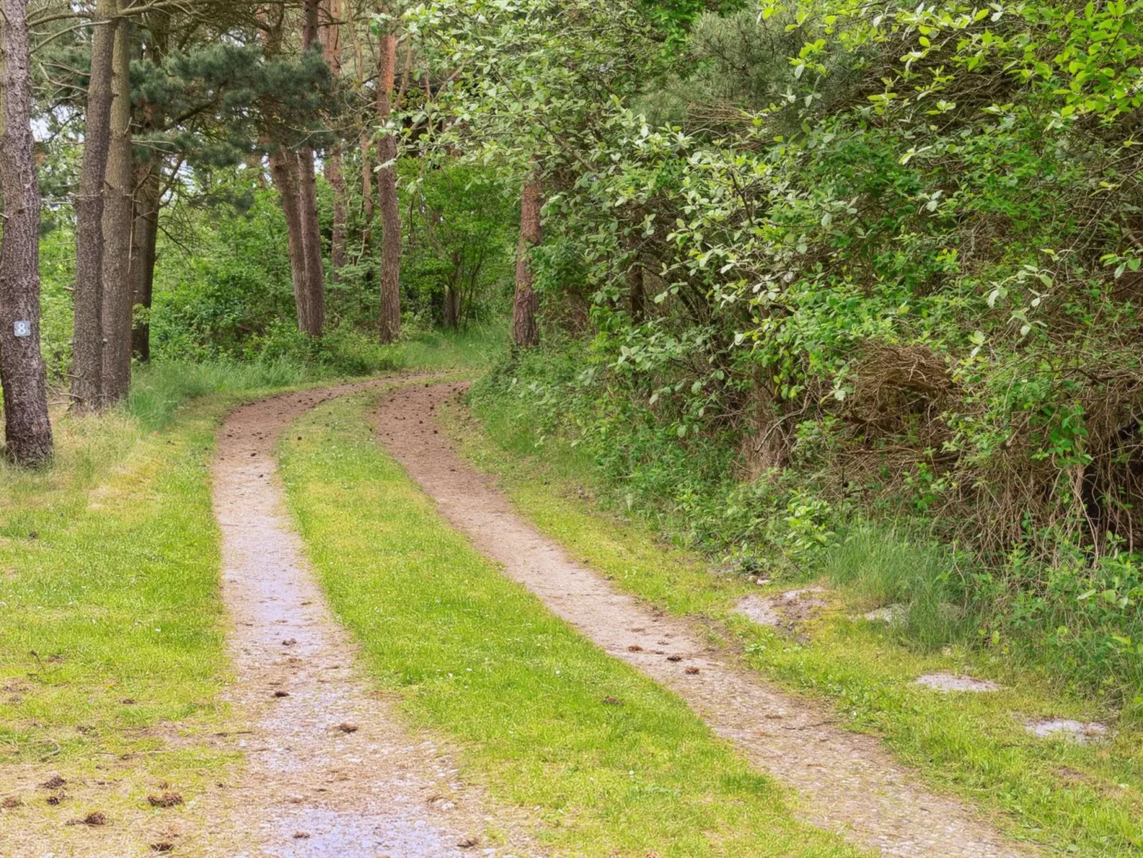 "Keyla" - 3.2km from the sea-Buiten