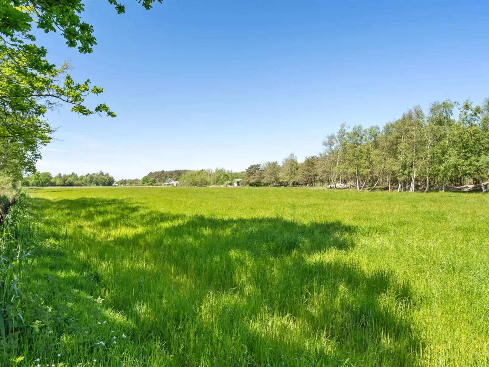 "Aldina" - 1.6km from the sea-Buiten