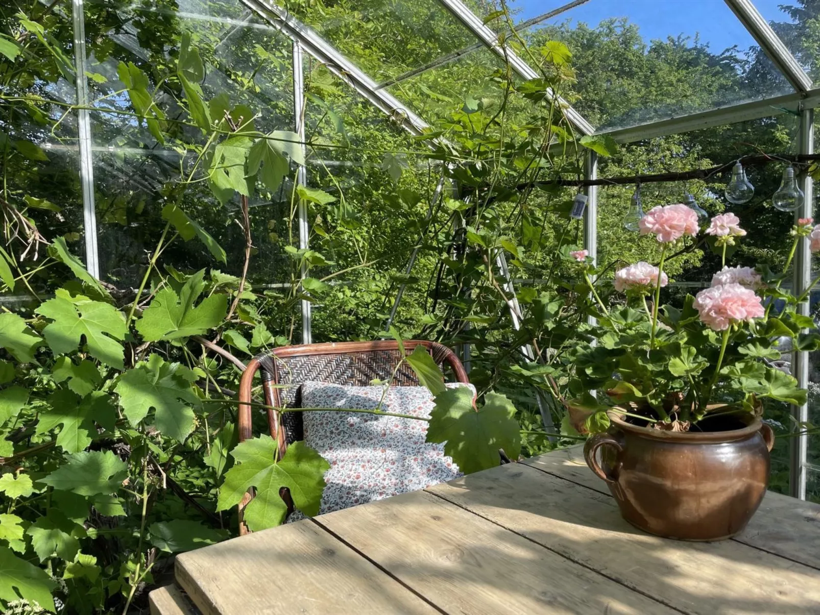 "Elvin" - 2.7km from the sea-Buiten