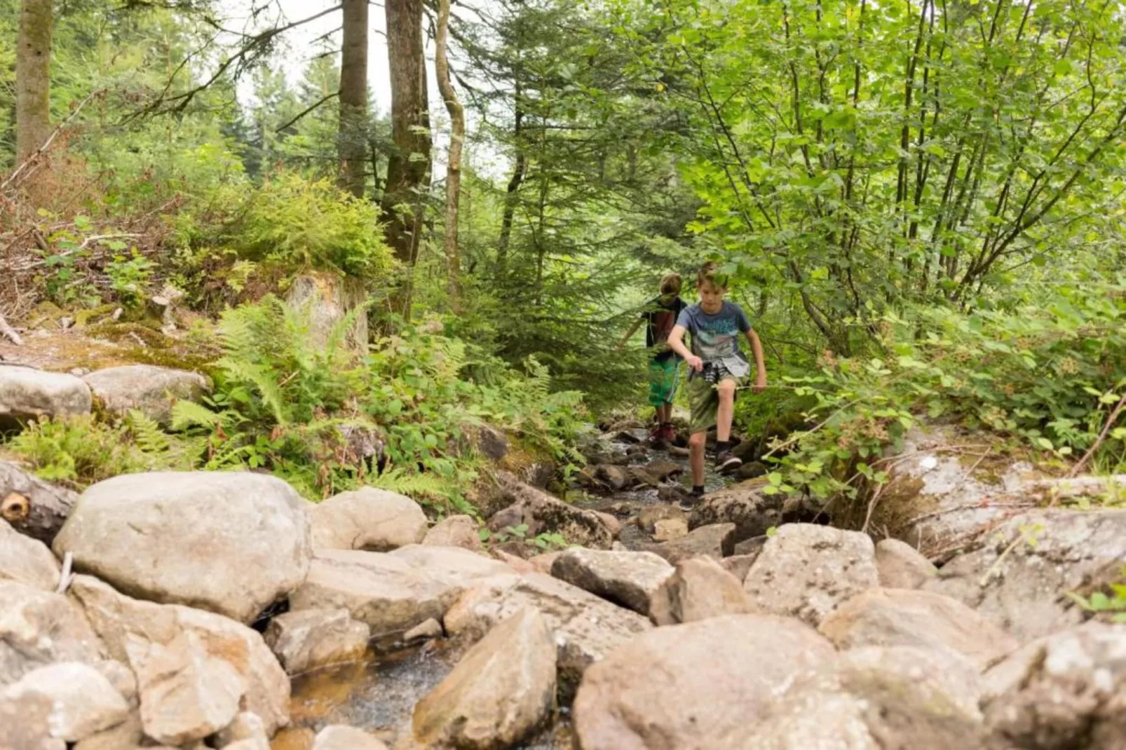 Domaine Des Messires 2-Gebieden zomer 5km