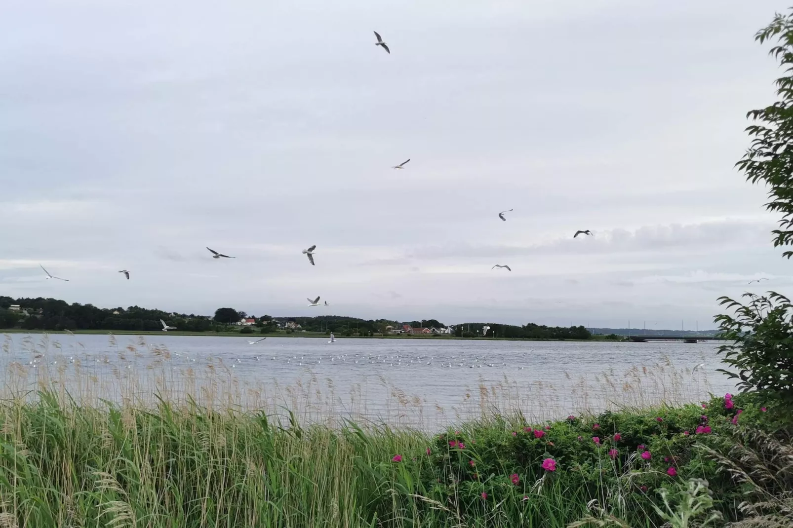 4 persoons vakantie huis in Hadsund-By Traum-Waterzicht