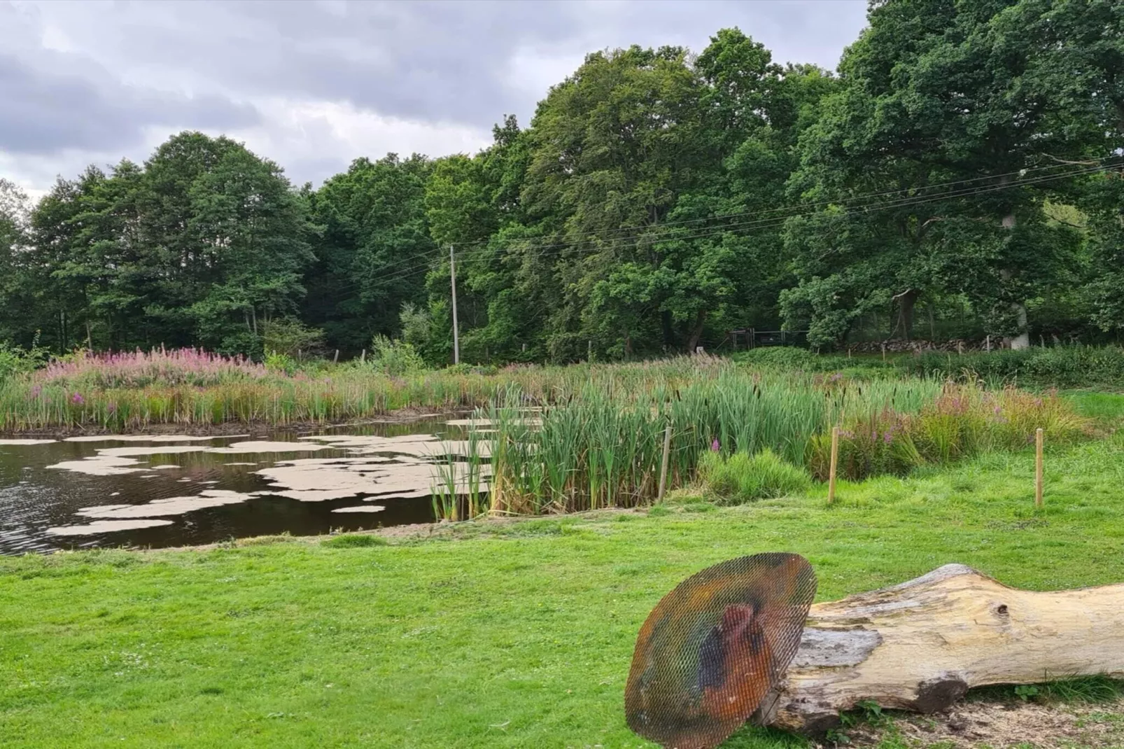 4 persoons vakantiehuis in Hoor-Waterzicht