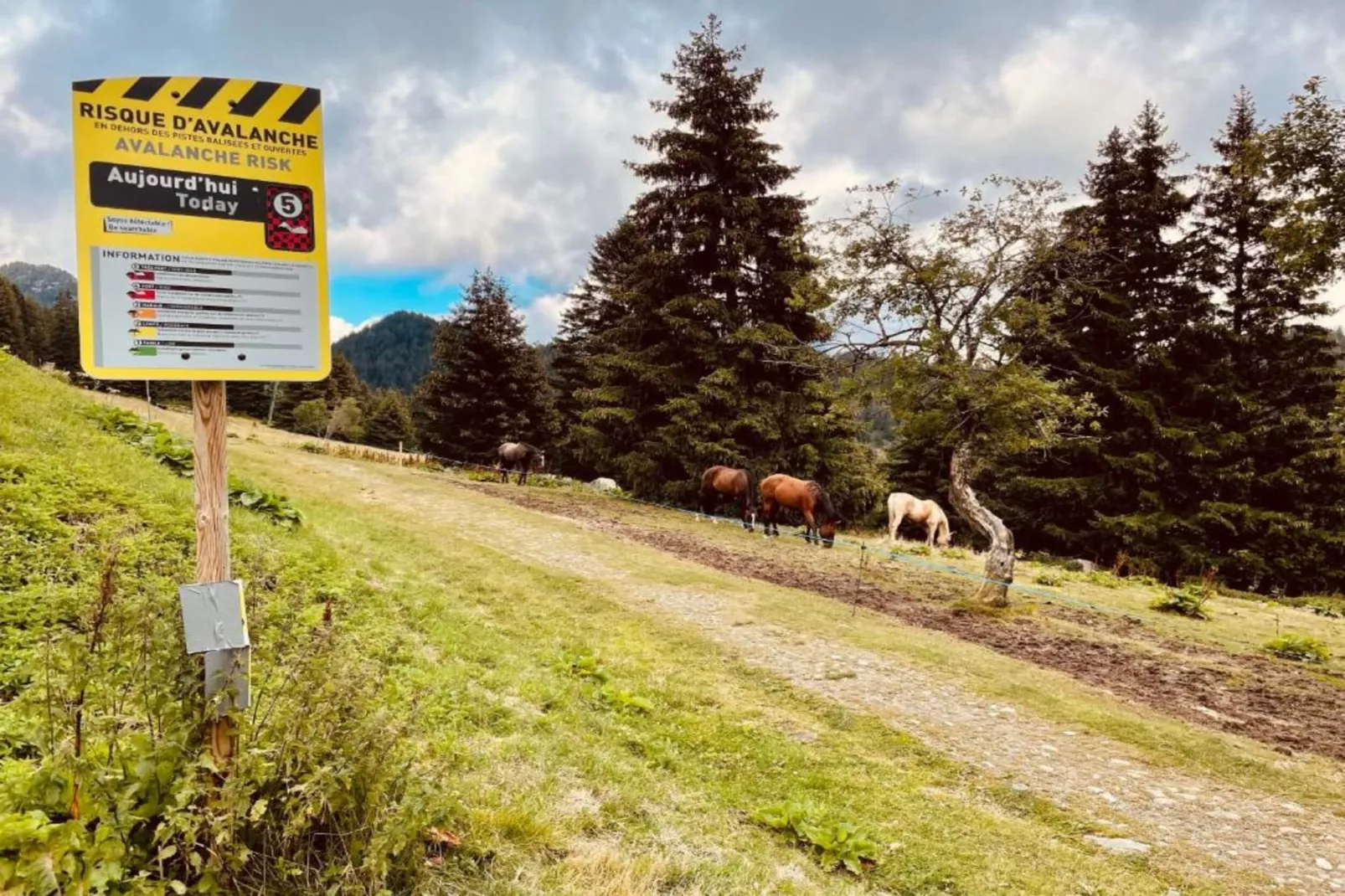 LE VERNON N°1222 - ST4-Gebieden zomer 5km