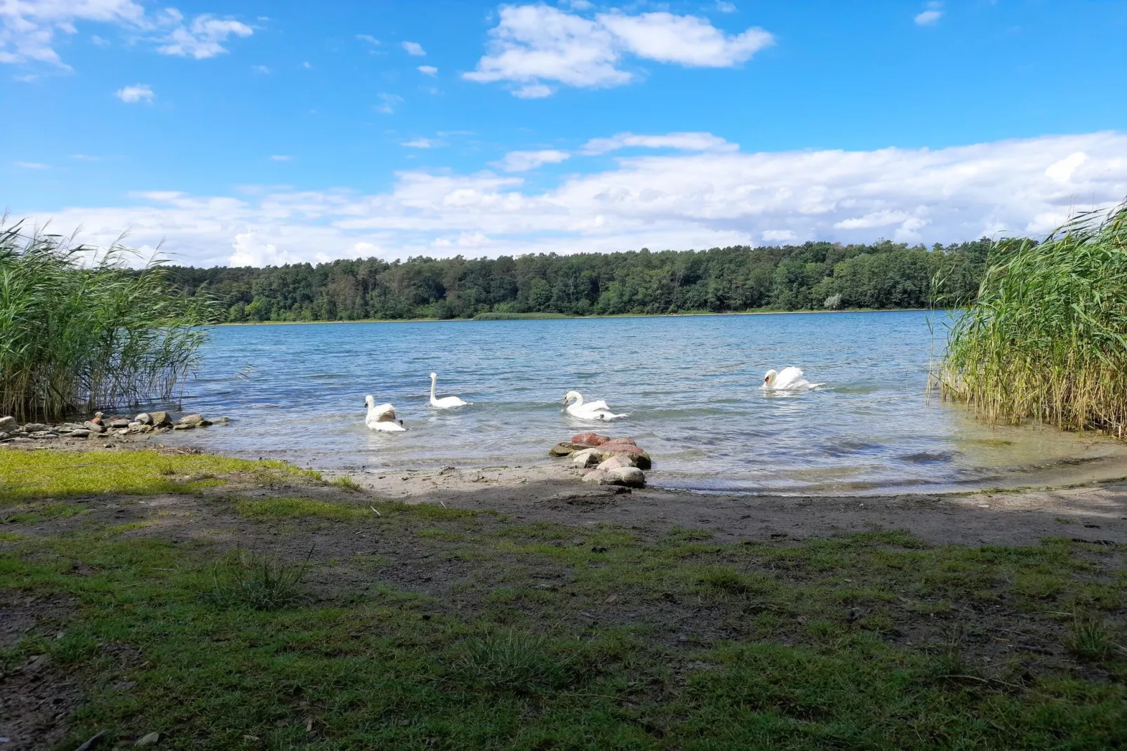 Luxus-Familienappartement / 8 Personen-Gebieden zomer 5km