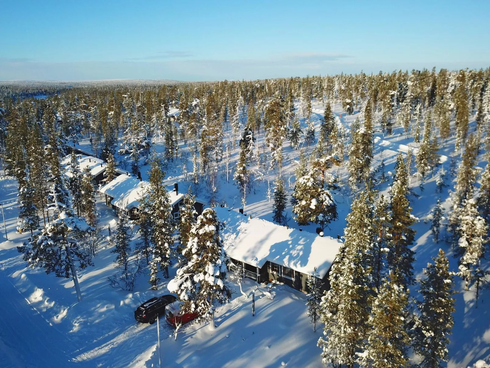 Tunturikoivu a2-Binnen