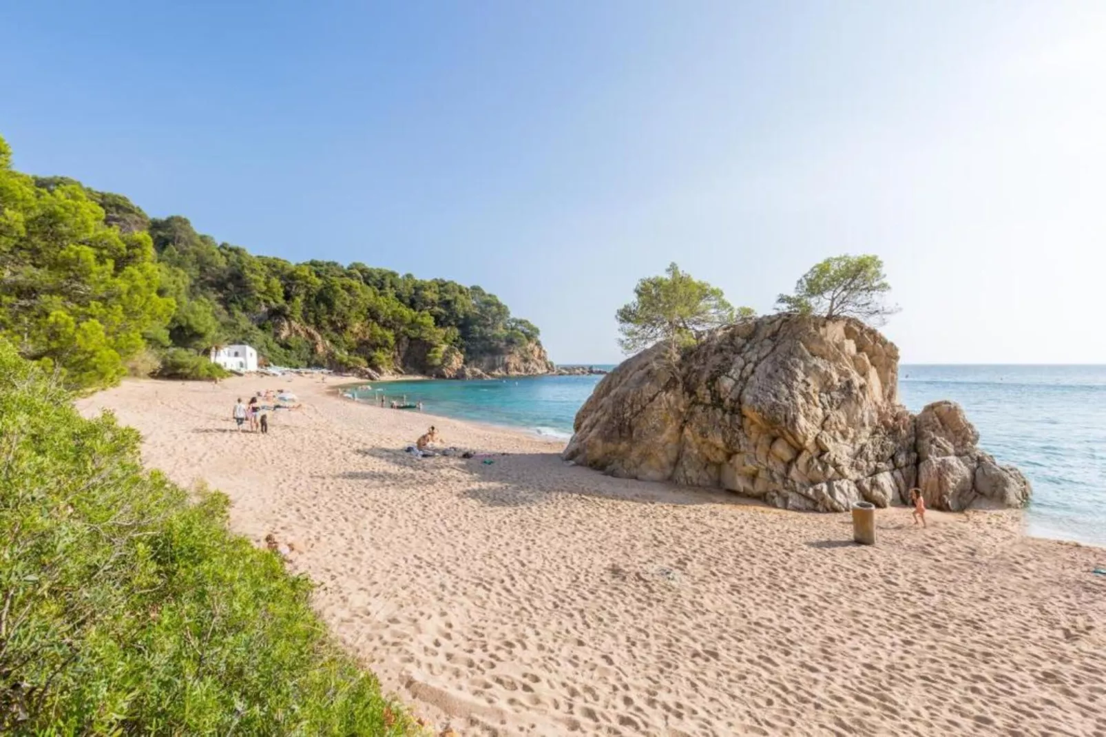Cora-Gebieden zomer 5km