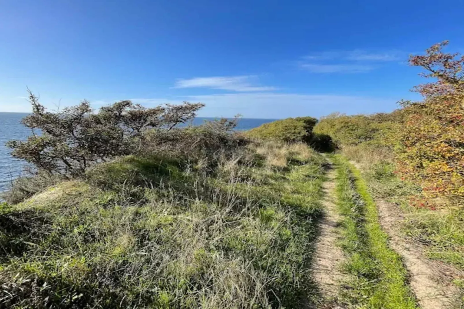 5 sterren vakantie huis in Humble-Waterzicht