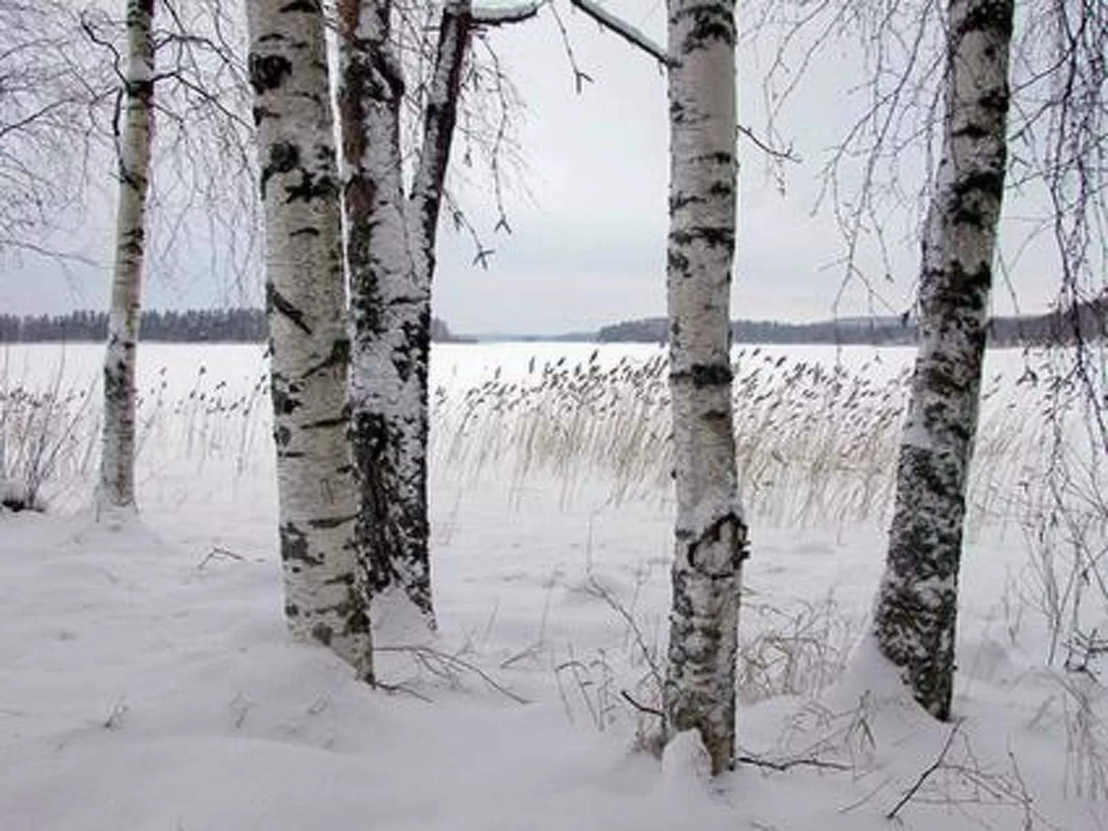 Kopinkallio 3-Binnen