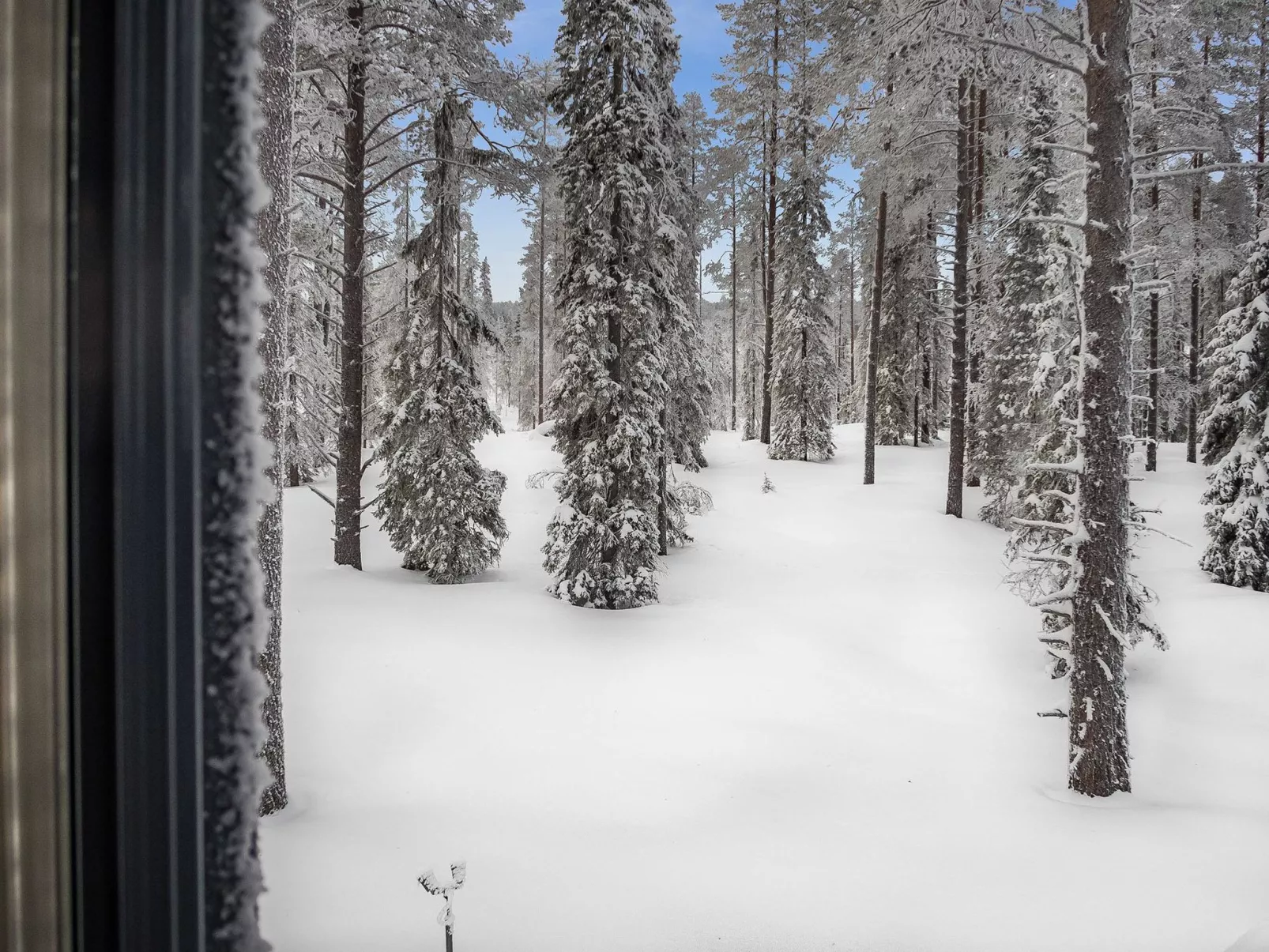 Kesärinne 14-Binnen