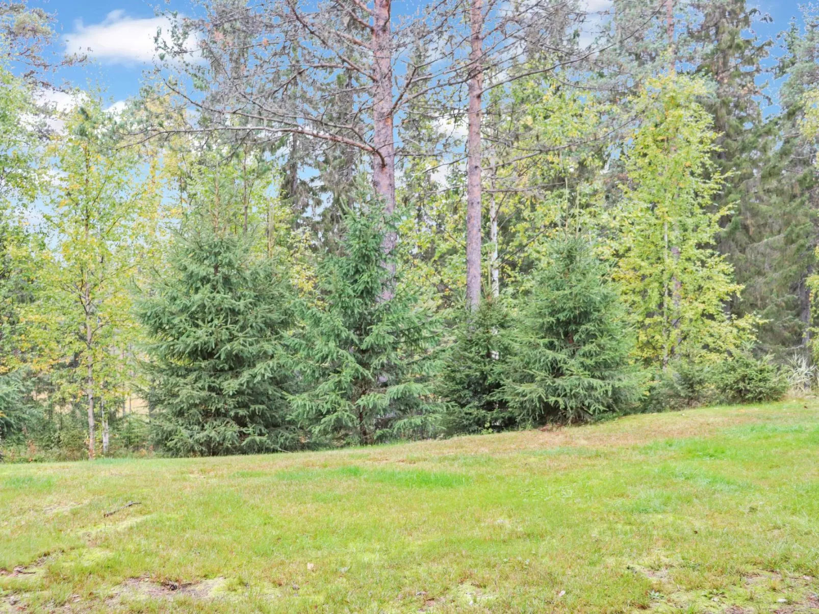 Paljakan pirtit a4-Binnen